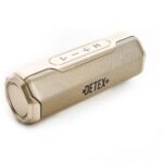 اسپیکر بلوتوثی قابل حمل دیتکس پلاس مدل D-930