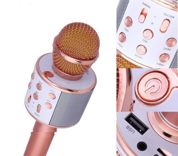 میکروفون اسپیکر مدل WS-858