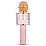 میکروفون اسپیکر مدل WS-858